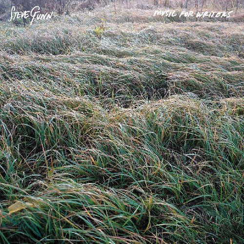 Steve Gunn - Music For Writers (Vinyl) { vinyl }