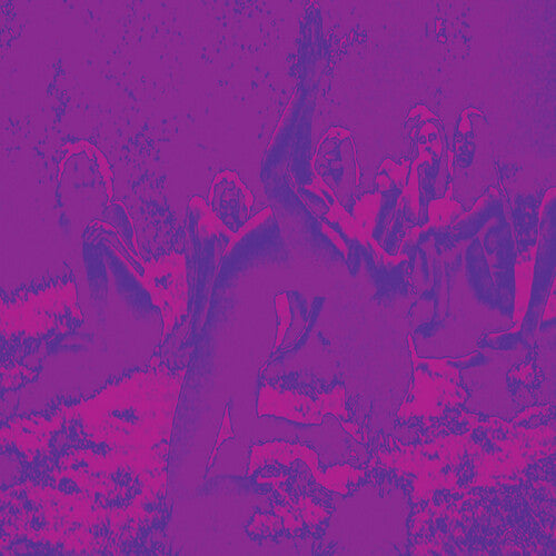 Acid Guru Pond (Vinyl) { vinyl }