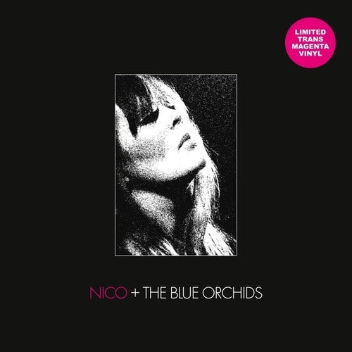 Live And In Session 1982 (Vinyl) { vinyl }