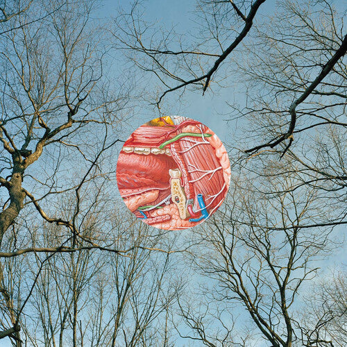 They Might Be Giants - Glean (Vinyl) { vinyl }