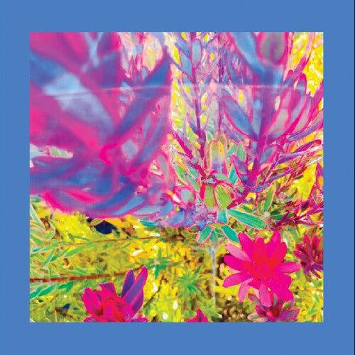 Reds Pinks & Purples - The Past is a Garden I Never Fed (Vinyl) { vinyl }