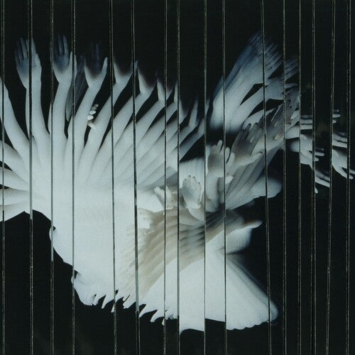 Scaler - Endlessly (Vinyl) { vinyl }