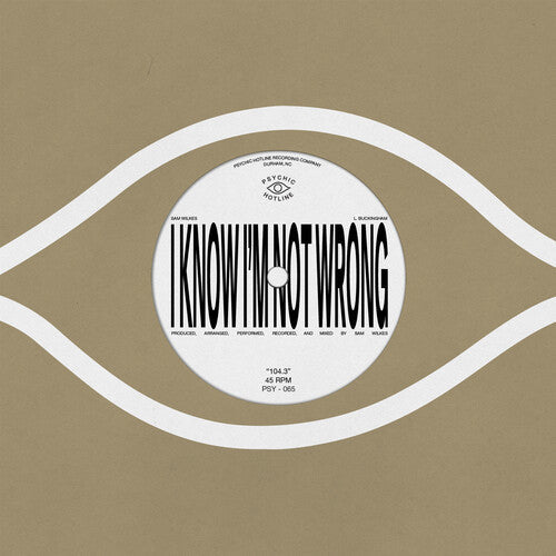 Sam Wilkes - 104.3 (Vinyl) { vinyl }