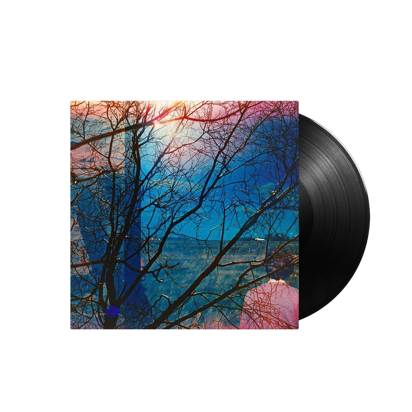 Idlewild { vinyl }