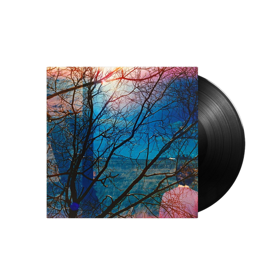Idlewild { vinyl }