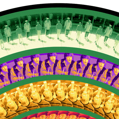 Pet Sounds Zoetrope { vinyl }