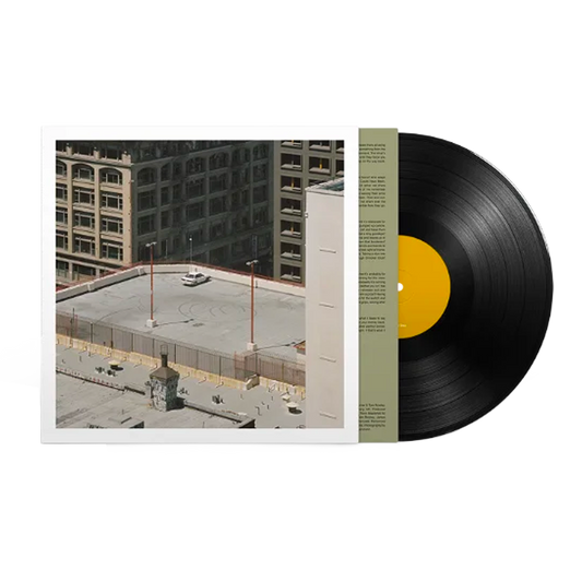The Car { vinyl }