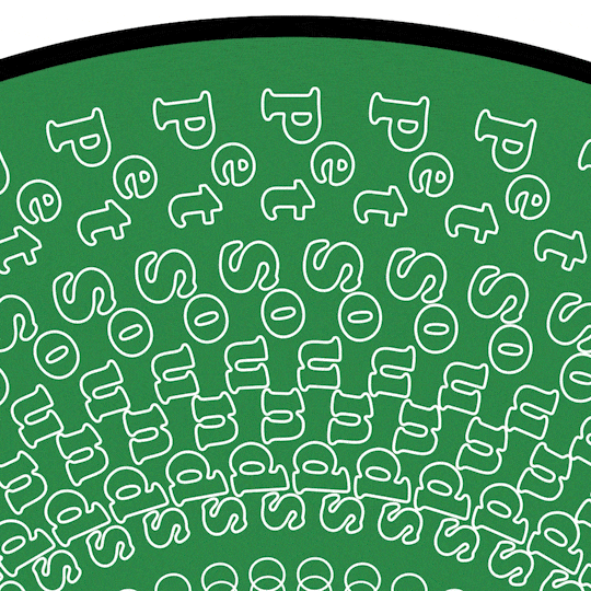 Pet Sounds Zoetrope { vinyl }