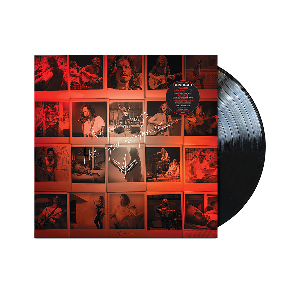 No One Sings Like You Anymore { vinyl }