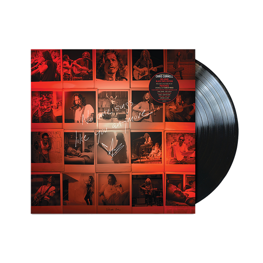 No One Sings Like You Anymore { vinyl }