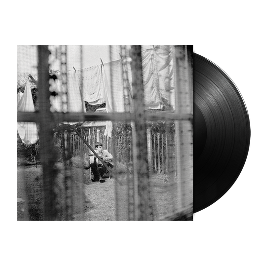 Chaos And Creation In The Backyard (180g) 1LP { vinyl }