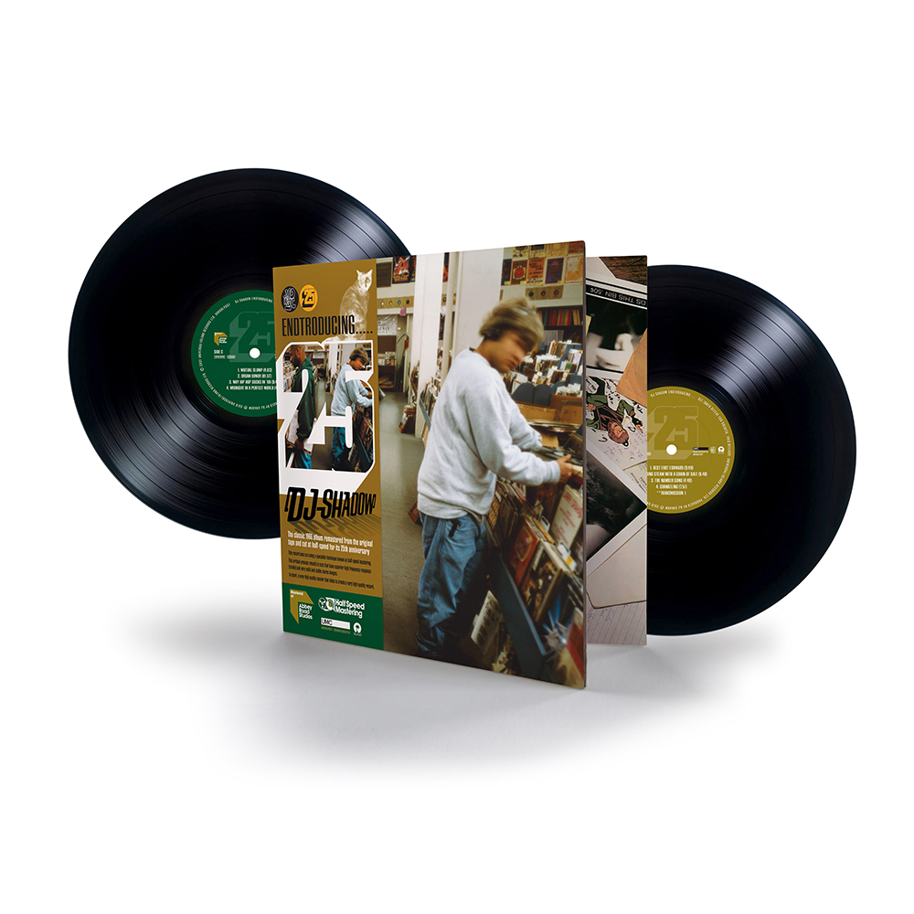 Endtroducing { vinyl }