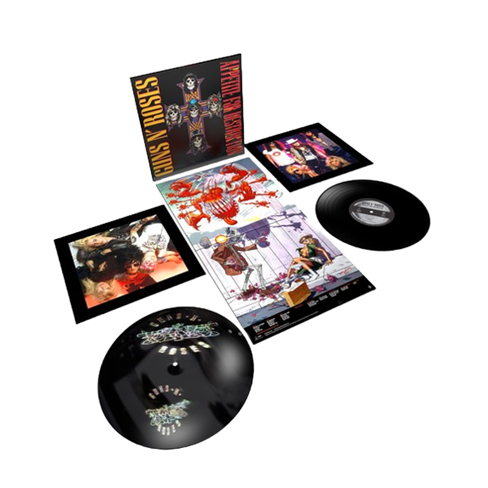 Appetite For Destruction { vinyl }