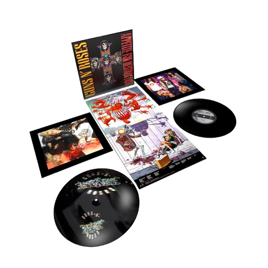 Appetite For Destruction { vinyl }