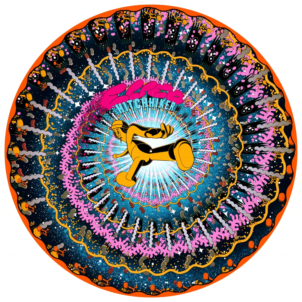 Hitchhiker (Zoetrope Picture Disc) { vinyl }