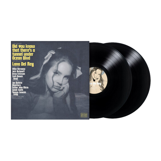 Did you know that there's a tunnel under Ocean Blvd { vinyl }