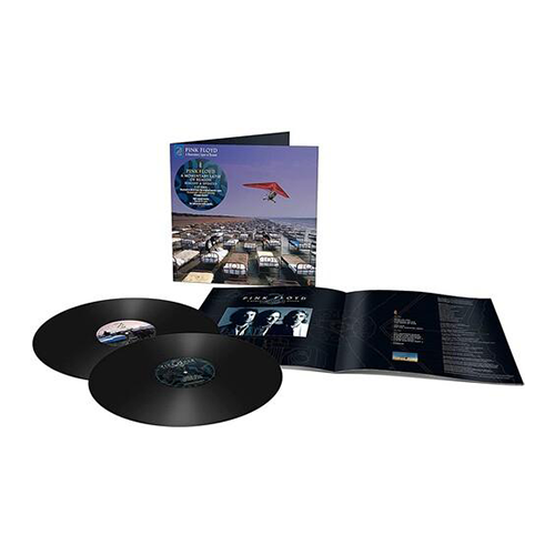 Momentary Lapse of Reason { vinyl }