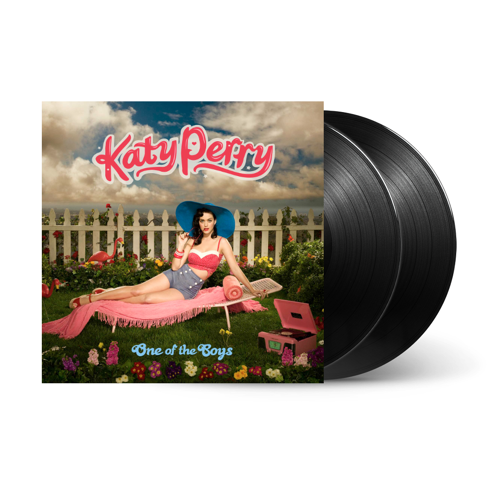 One of the Boys 2LP { vinyl }