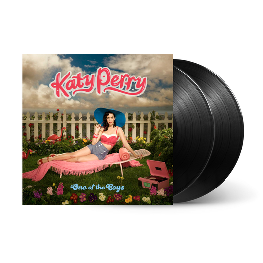 One of the Boys 2LP { vinyl }