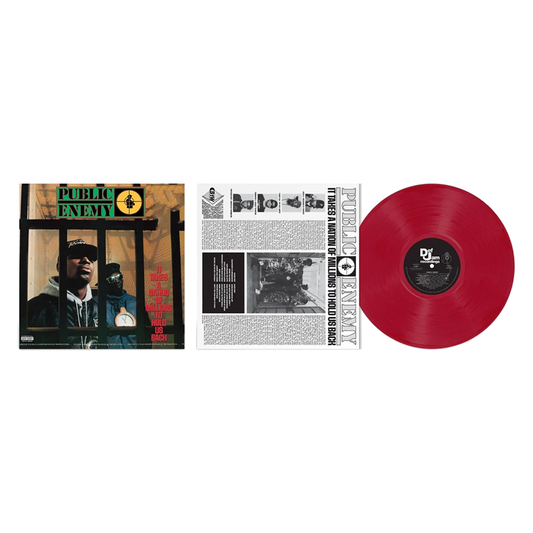 It Takes a Nation of Millions to Hold Us Back { vinyl }