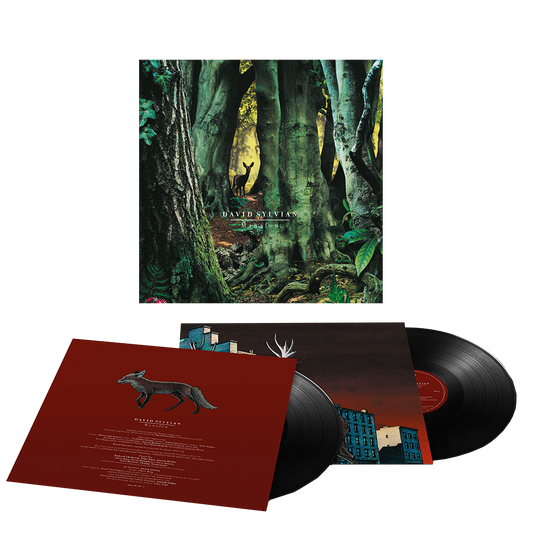 Manafon { vinyl }