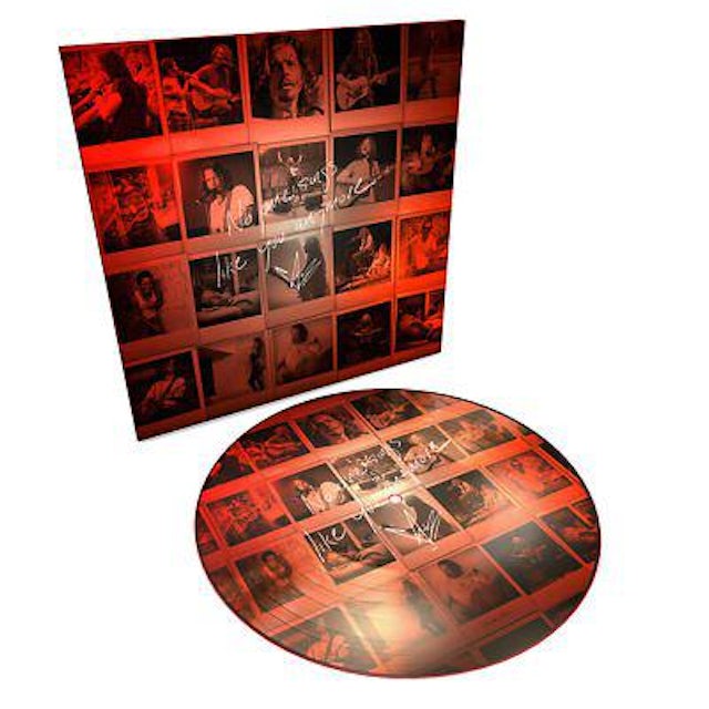 No One Sings Like You Anymore { vinyl }