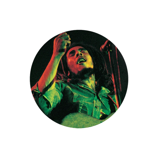 Soul of a Rebel { vinyl }