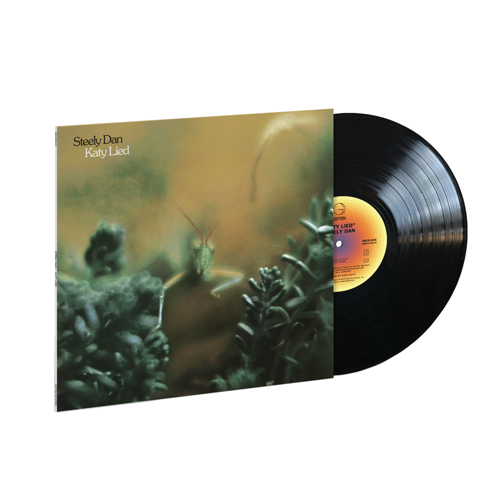 Katy Lied { vinyl }