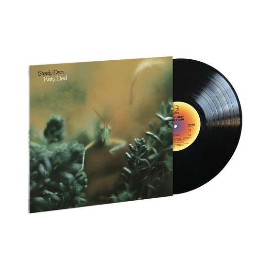 Katy Lied { vinyl }