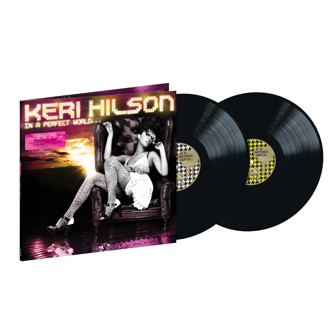 In A Perfect World... 2LP { vinyl }