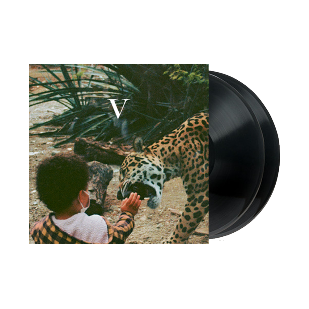 V { vinyl }