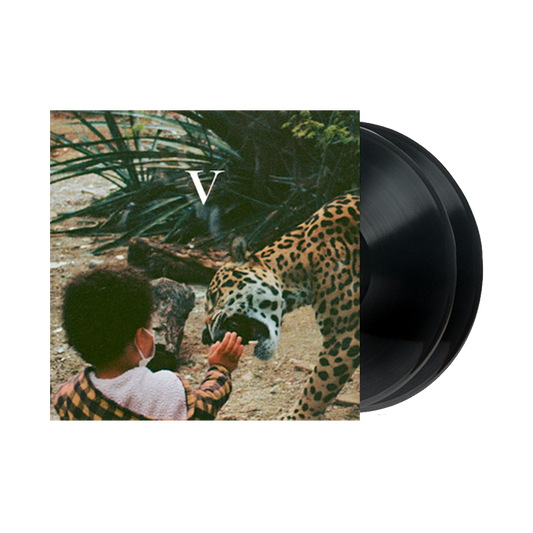 V { vinyl }