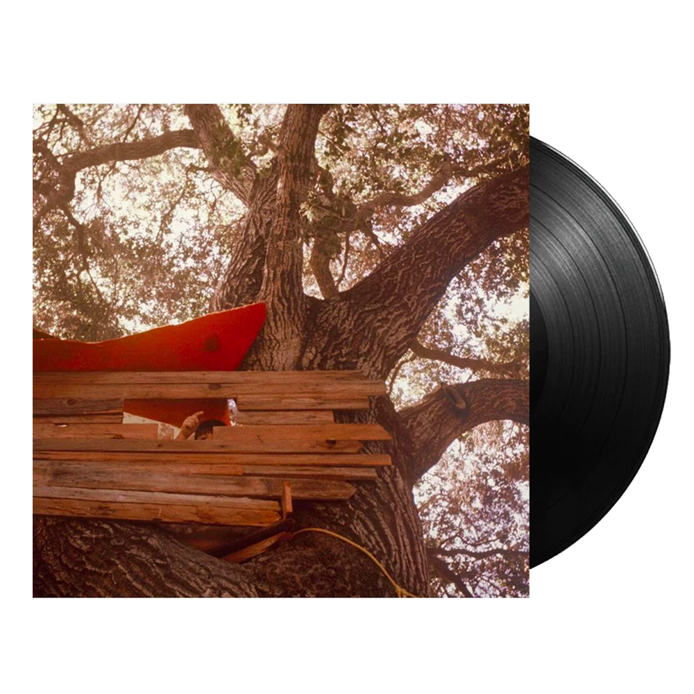 Waiting to Spill { vinyl }
