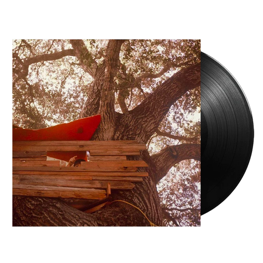Waiting to Spill { vinyl }