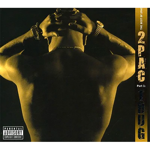The Best Of 2Pac - Part 1: Thug { vinyl }