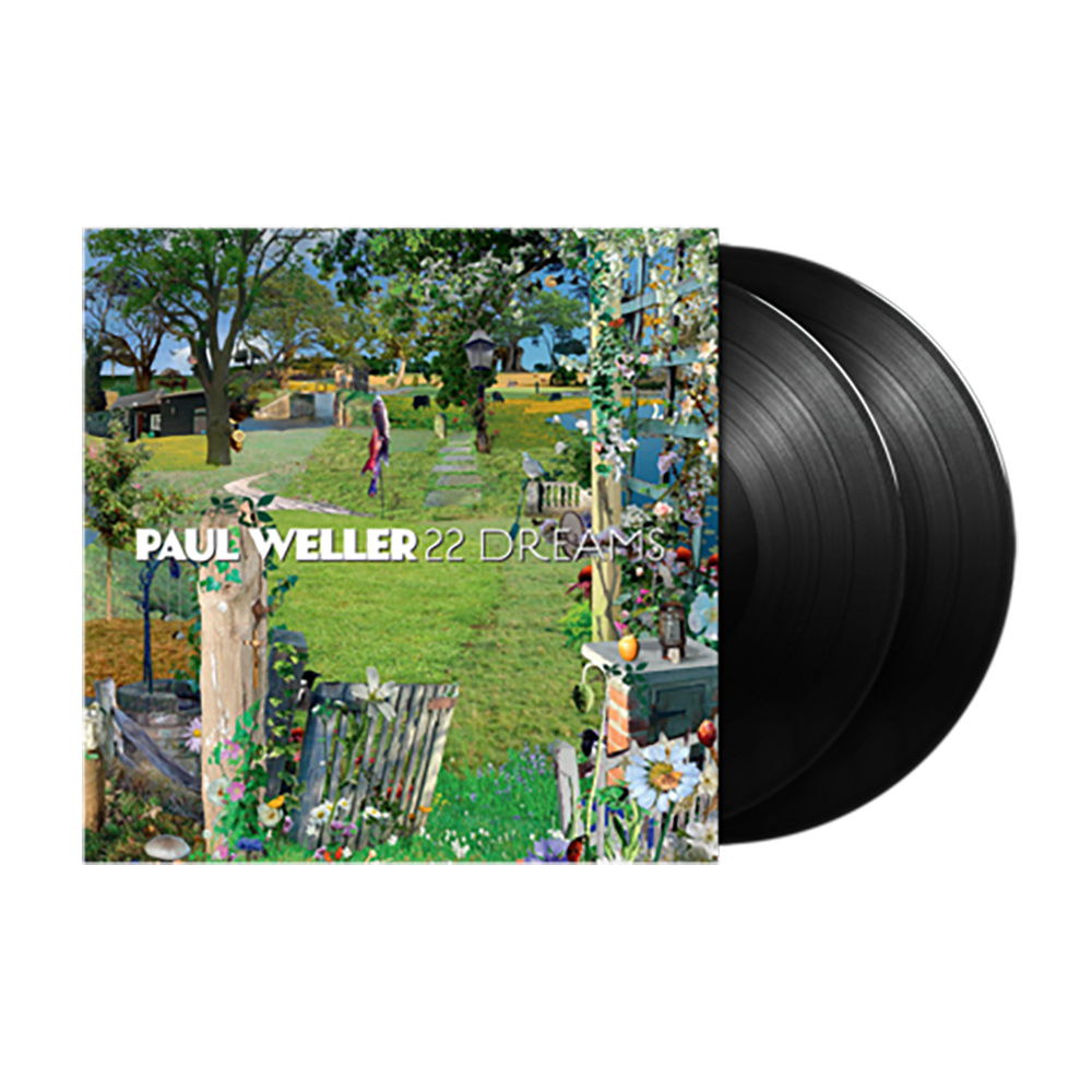 22 Dreams { vinyl }