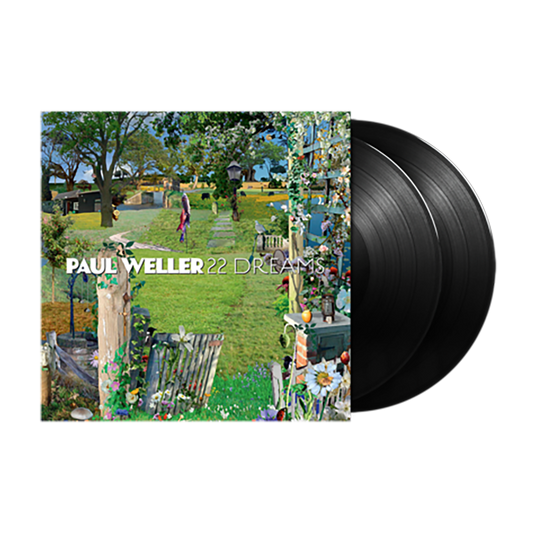22 Dreams { vinyl }