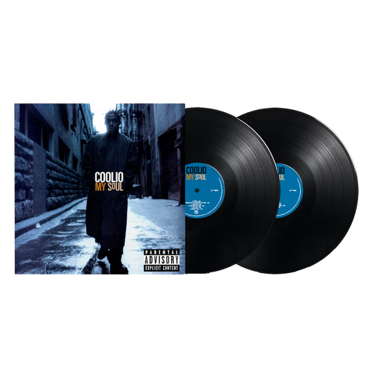 My Soul (25th Anniversary) { vinyl }