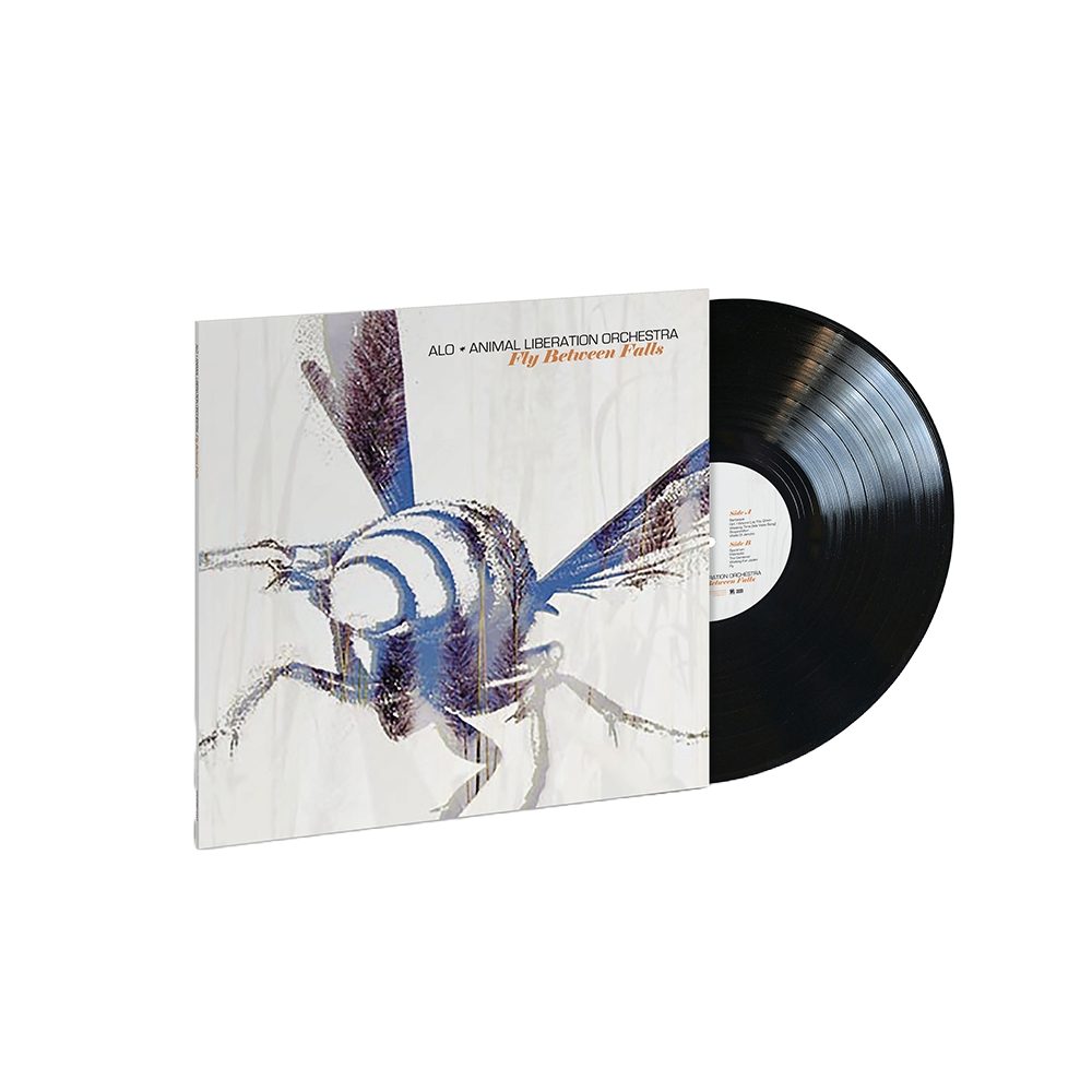 Fly Between Falls { vinyl }