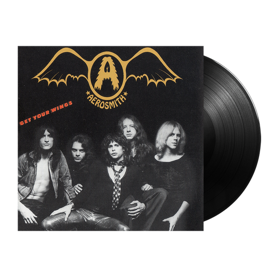 Get Your Wings { vinyl }