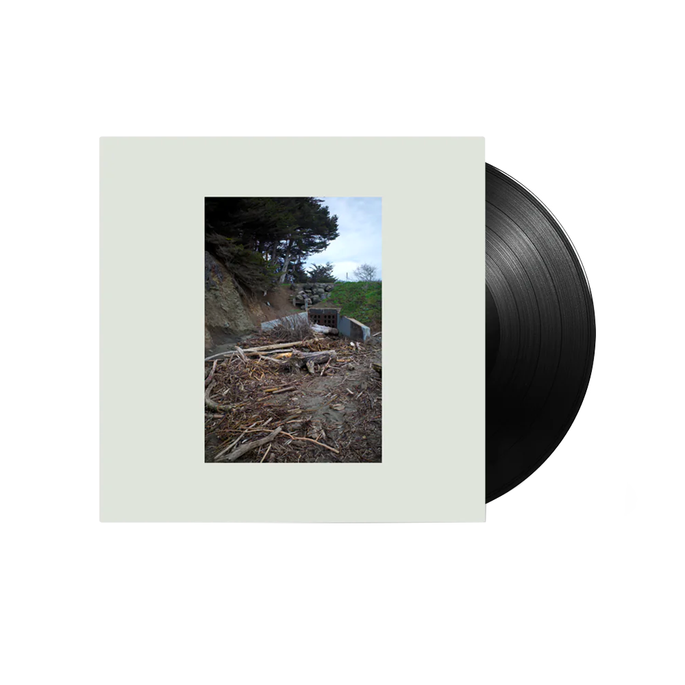 Five Easy Hot Dogs { vinyl }