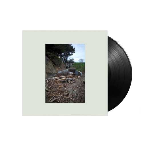 Five Easy Hot Dogs { vinyl }