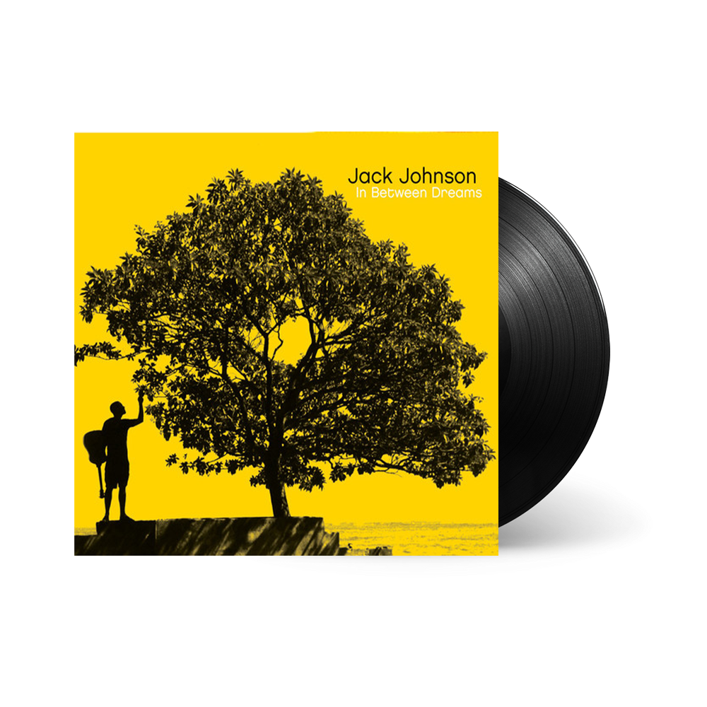 In Between Dreams { vinyl }