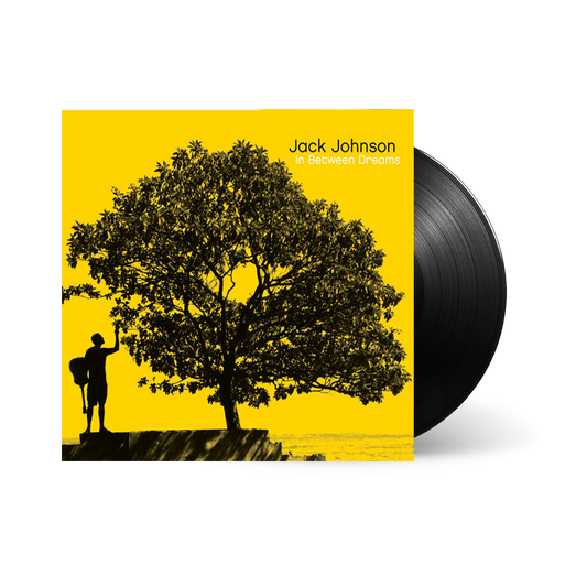 In Between Dreams { vinyl }