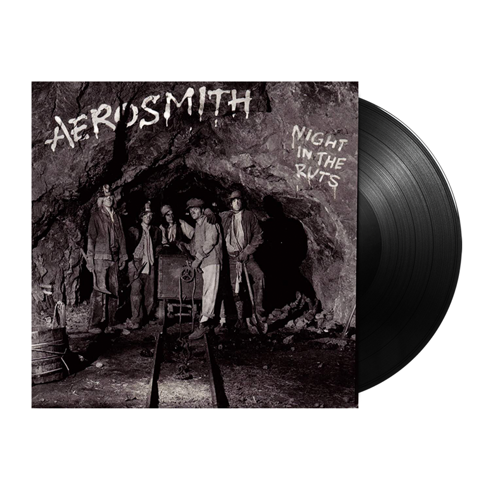 Night In The Ruts { vinyl }