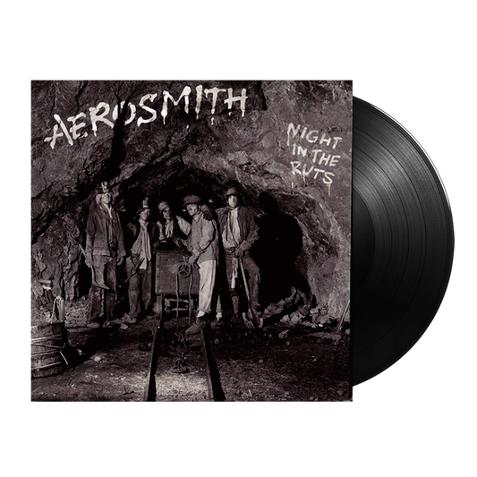 Night In The Ruts { vinyl }
