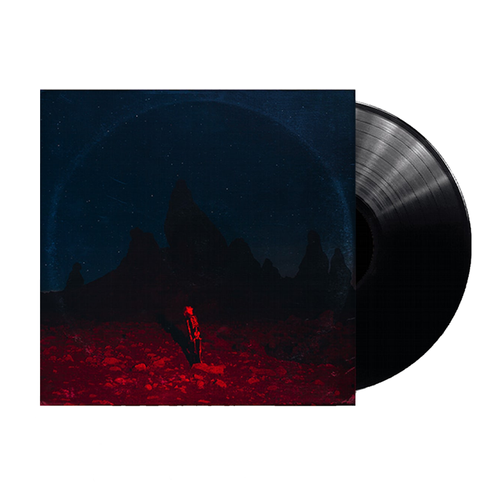 Punisher { vinyl }