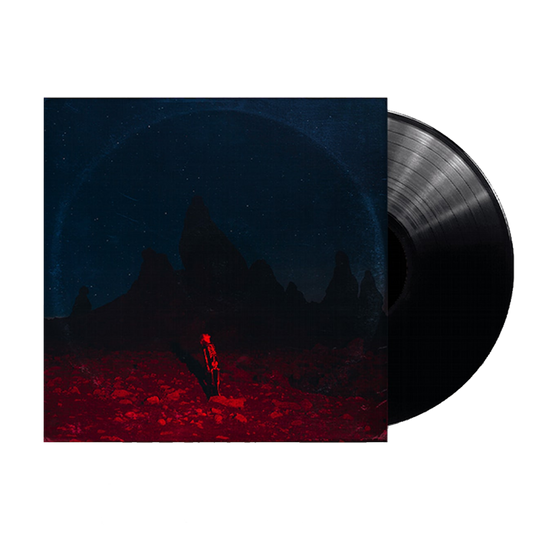 Punisher { vinyl }